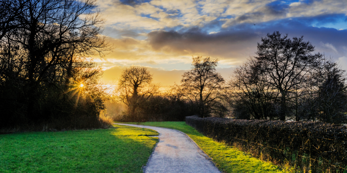 Sun setting over a nature trail.